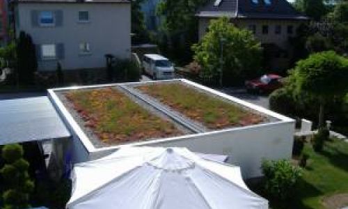 Garagendachbegrünung - Vorteile einer Dachbepflanzung